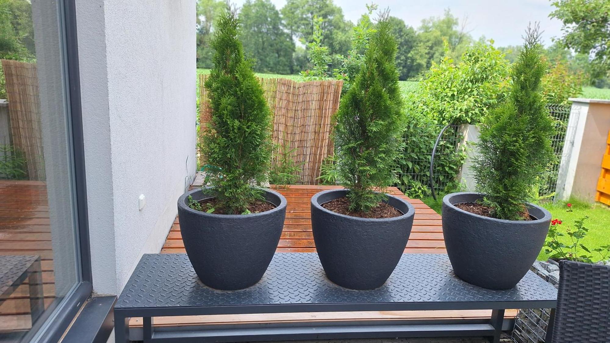 Bungalov Na Brehu Labe S Vlastnim Molem Pardubice Luaran gambar